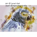 (image for) African Grey Parrot